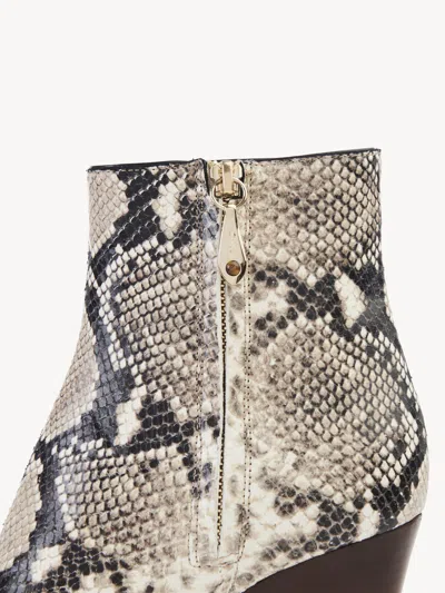 Chloé Oli And Ankle Boots