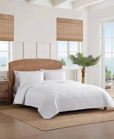 Tommy Bahama Line Palm Cotton Reversible 2-pc. Quilt Set, Twin