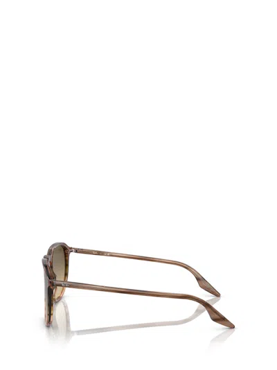 Ray Ban Erika Round-frame Sunglasses