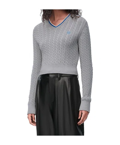 Loewe Sweater In Cotton In Brown