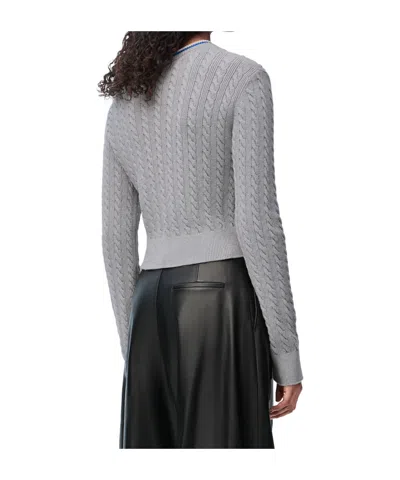 Loewe Sweater In Cotton In Brown