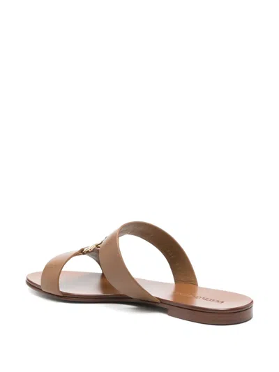 Dolce & Gabbana Scarpe Basse Maiolica Viola In Brown