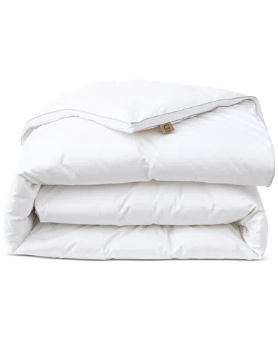 Nikki Chu 300-thread Count Down Comforter, Queen