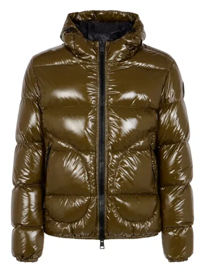 Herno Quilted Hooded Jacket Shiny Finish In Brown
