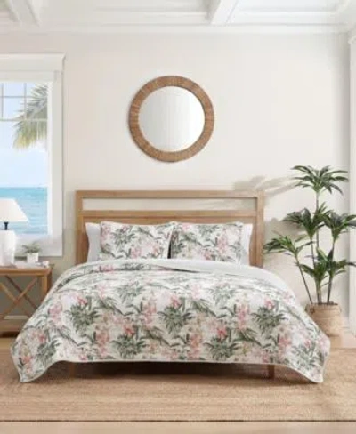 Tommy Bahama Island Orchid Cotton Reversible Quilt Set