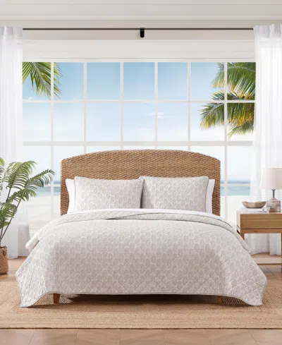 Tommy Bahama Fronds Cotton Reversible 3-pc. Quilt Set, Full/queen