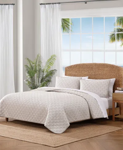 Tommy Bahama Fronds Cotton Reversible 3-pc. Quilt Set, Full/queen