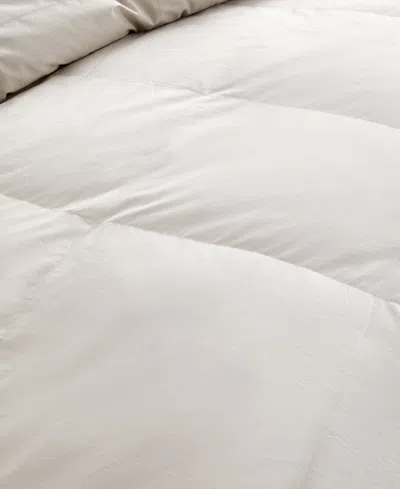 Nikki Chu 250-thread Count Down Comforter, Twin
