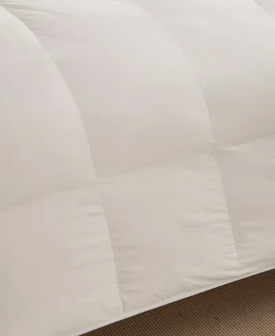 Nikki Chu 250-thread Count Down Comforter, Twin