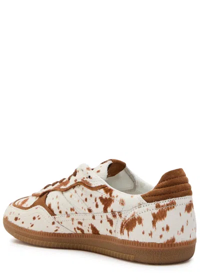 Alohas 'tb.490' Brown Low Top Sneakers With Embossed Logo On The Side And Perforated Details