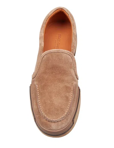 Dolce & Gabbana Derby In Calfskin Crust Color Hazelnut In Brown