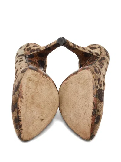 Pre-owned Dolce & Gabbana Leopard-print Leather Pumps