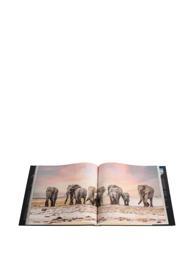 Rizzoli Experiencing Africa: On Safari The People The Land Book In Multi