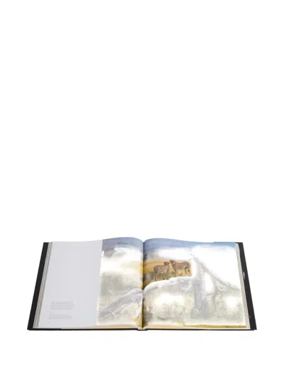 Rizzoli Experiencing Africa: On Safari The People The Land Book In Multi
