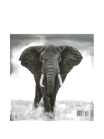 Rizzoli Experiencing Africa: On Safari The People The Land Book In Multi