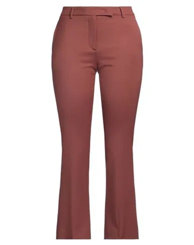 Ql2  Quelledue Ql2 Quelledue Woman Pants Brown Size 8 Virgin Wool, Lycra In Brown