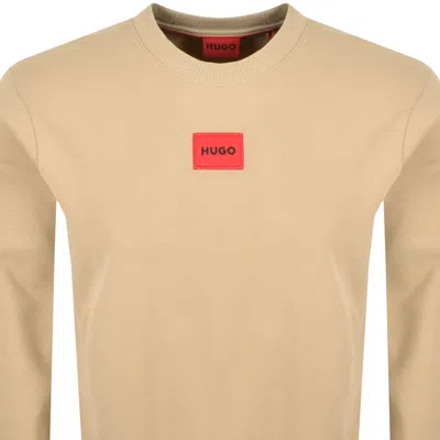 Hugo Boss Hugo Diragol 212 Sweatshirt Beige In Neutral