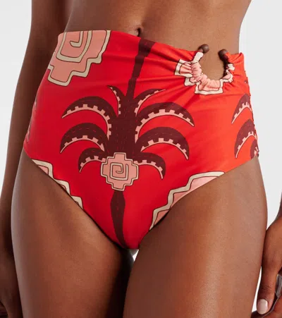 Johanna Ortiz Taita Printed High-rise Bikini Bottoms