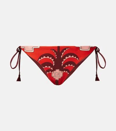 Johanna Ortiz Sagrado Printed Low-rise Bikini Bottoms In Brown