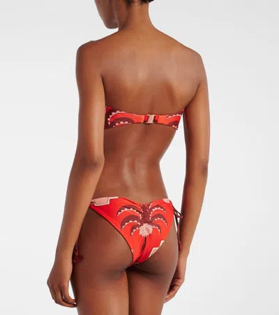 Johanna Ortiz Sagrado Printed Low-rise Bikini Bottoms In Brown