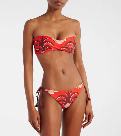 Johanna Ortiz Sagrado Printed Low-rise Bikini Bottoms In Brown