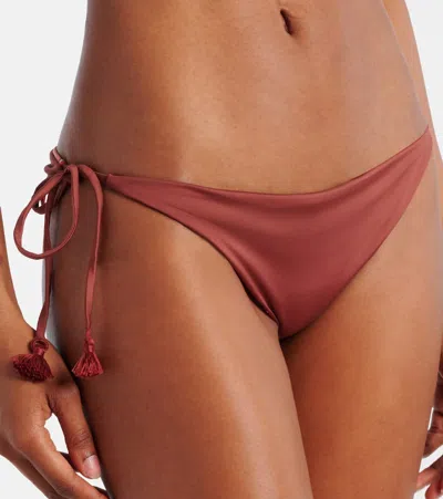 Johanna Ortiz Sagrado Printed Low-rise Bikini Bottoms In Brown