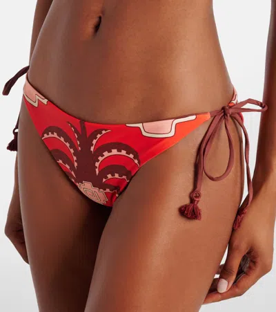 Johanna Ortiz Sagrado Printed Low-rise Bikini Bottoms In Brown