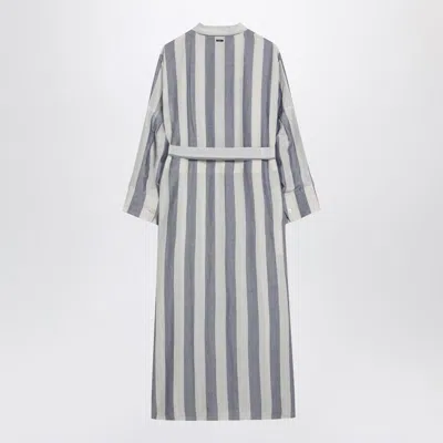 S Max Mara Women's /blue Striped Shirt Dress In Gray