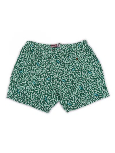 Mc2 Saint Barth Comfort Lightning Gecko-print Swim Shorts In Green