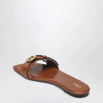 Chloé Clay Brown Low Heel Shoes In Leather Women