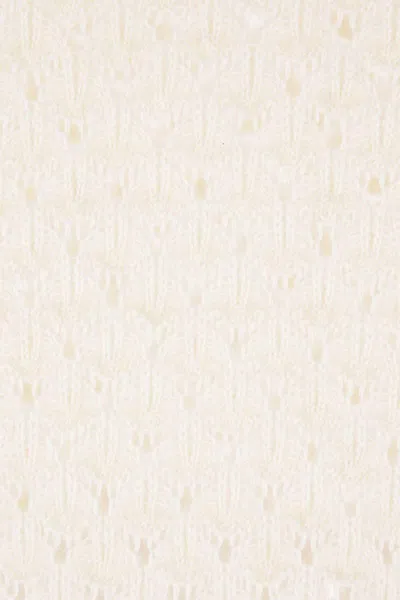 Chloé Women Ivory Knit Polo Shirt With Lace Collar
