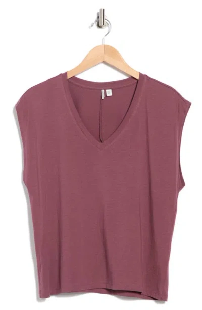 Nordstrom V-neck Pima Cotton T-shirt