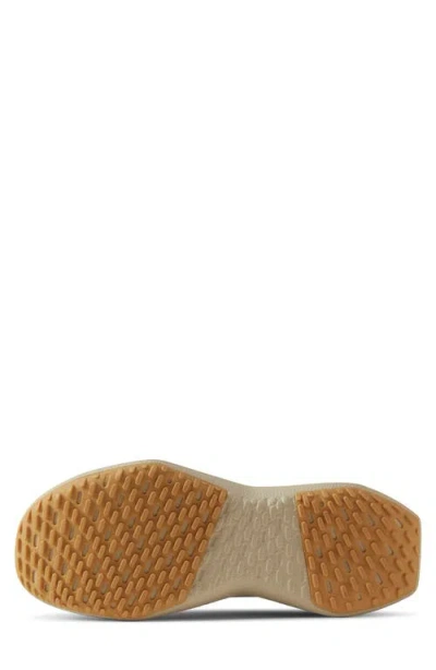 Allbirds Tree Dasher 2 Sneaker