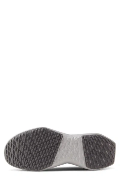 Allbirds Tree Dasher 2 Sneaker