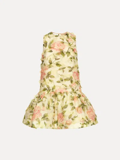 Oscar De La Renta English Rose Fil Coup Dress In Multi