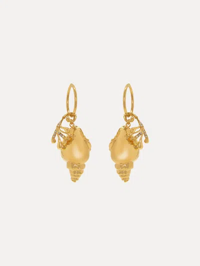 Oscar De La Renta Coral & Shell Hoop Earrings