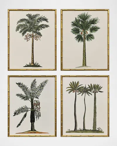 Paragon Decors Contemporary Palm Ii Framed Giclees, Set Of 4