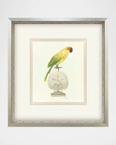 Paragon Decors Treasure Parrot Iii Hand-embellished Giclee By Popjoy Studio