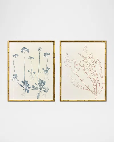 Paragon Decors Floral Trace Iii Framed Giclees, Set Of 2