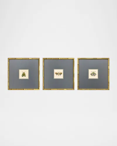 Paragon Decors Pastel Moths Ii Framed Giclees By Farida Zaman, Set Of 3