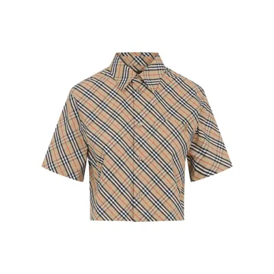 Burberry Vintage Check Cropped Shirt In Brown