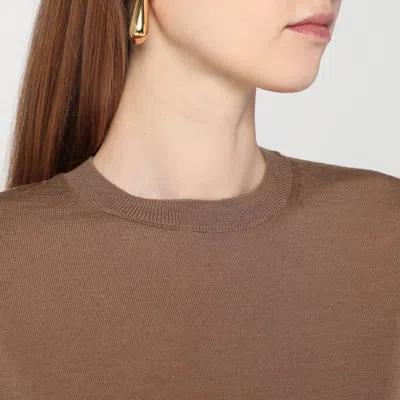 Max Mara Hazelnut-coloured Crew Neck Sweater In Wool
