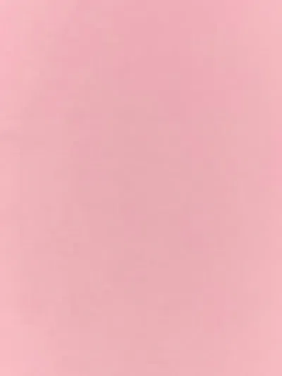 Alexander Mcqueen Soft Wool Blend Scarf With Fringed Edges In Pink