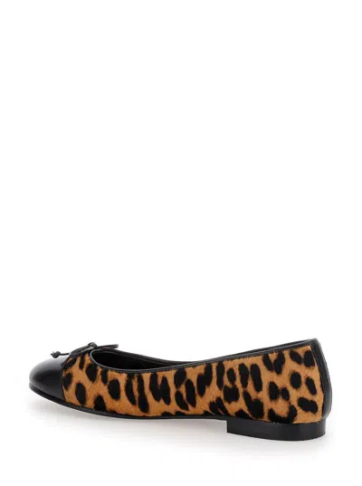 Tory Burch Brown Ballet Shoes With Cap Toe And Leopard Print In Leather Woman
