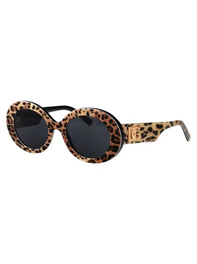 Dolce & Gabbana Leopard Black Acetate Sunglasses