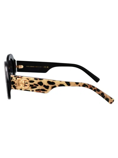 Dolce & Gabbana Leopard Black Acetate Sunglasses