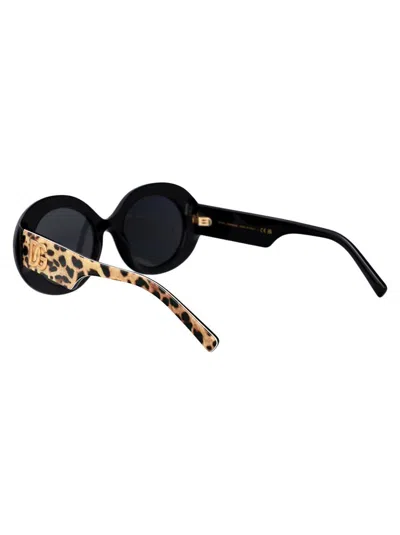 Dolce & Gabbana Leopard Black Acetate Sunglasses