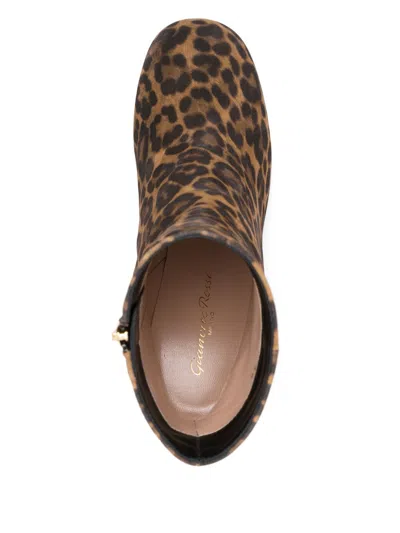 Gianvito Rossi Chunky Heel Ankle Boots