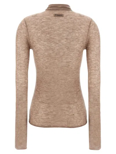 Pinko 'moss' Sweater In Brown