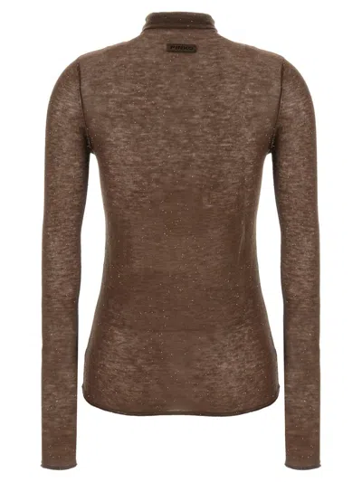 Pinko Sweater In Brown